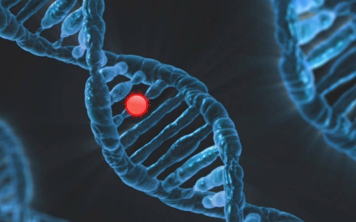 Bất ngờ gene bảo vệ người trẻ 'phản chủ' lúc về già - Ảnh 3.