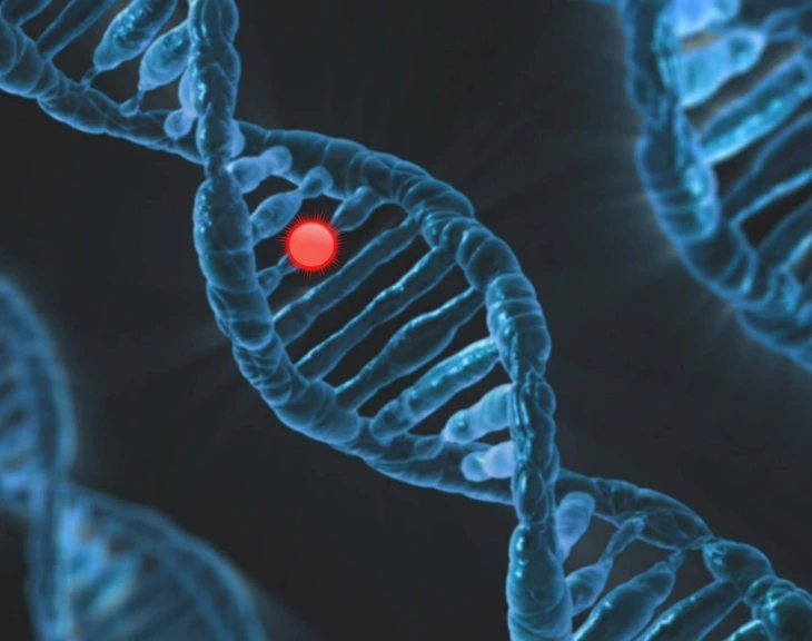 gene - Ảnh 1.