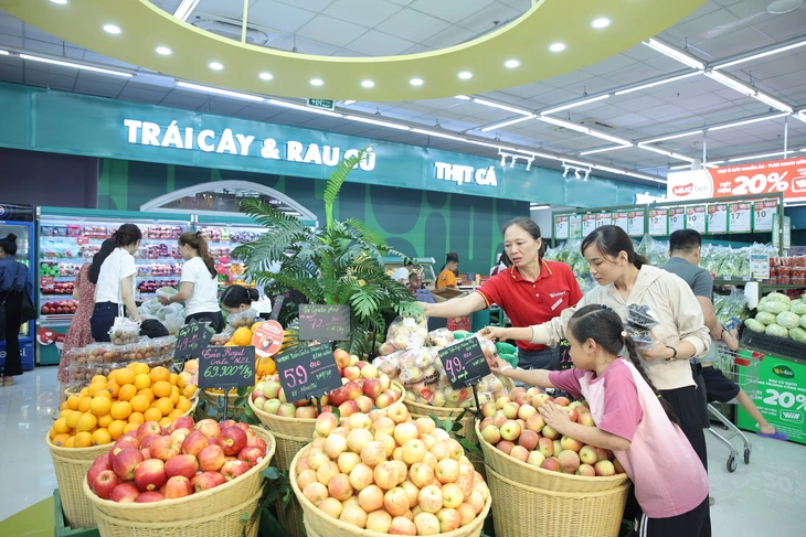Sức mua khởi sắc, doanh nghiệp tiêu dùng - bán lẻ tăng tốc mở rộng - Ảnh 2.