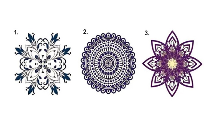 quiz - Ảnh 1.