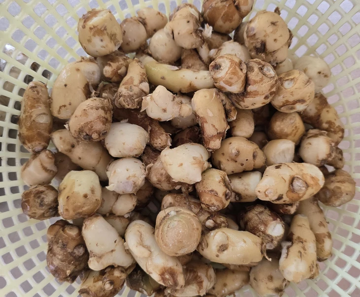 Nồi nước lèo thơm và hương vị cay nồng mì gà xá kén trong hẻm nhỏ cư xá Phú Bình - Ảnh 5. Mì gà Xá kén - Ảnh 4.