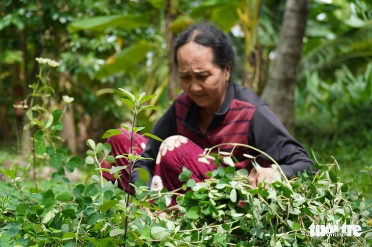Cháu mất cả cha mẹ vào ĐH Công nghiệp TP.HCM, 'bà ngoại vĩ đại' mượn hết cỡ được 2,5 triệu đồng - Ảnh 6.