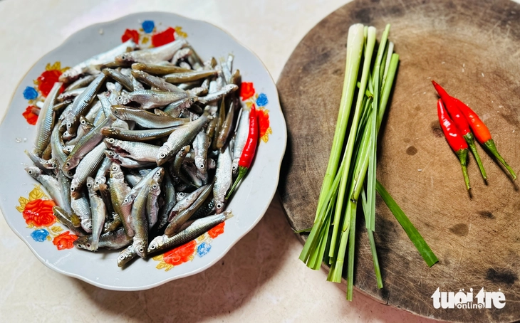 cá, mắm, rau đồng - Ảnh 3.