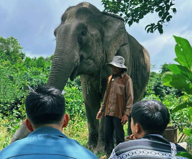 jun phạm - Ảnh 1.