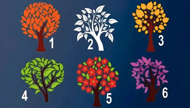 quiz - Ảnh 1.