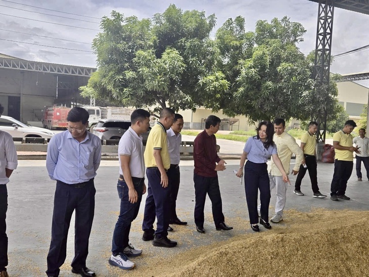 PVCFC tăng tốc mở rộng thị phần tại Campuchia - Ảnh 1.