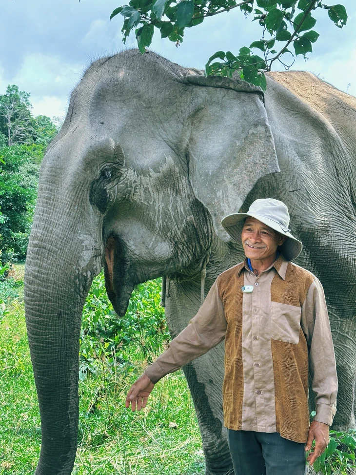 jun phạm - Ảnh 3.