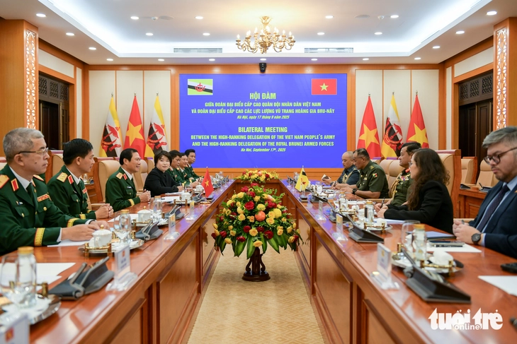 Đại tướng Nguyễn Tân Cương hội đàm với Tư lệnh Quân đội Hoàng gia Brunei - Ảnh 3.