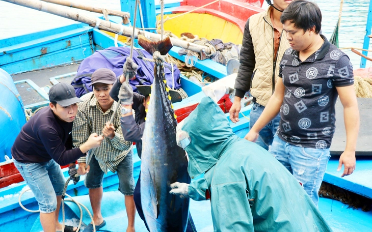 Từ 1-1-2026, 12 nhóm thủy sản không được xuất khẩu vào Mỹ - Ảnh 2.