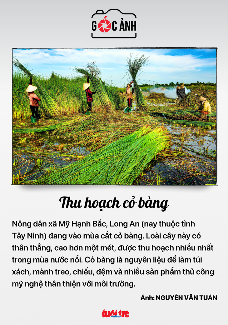 Tin tức sáng 18-9: Lãnh đạo doanh nghiệp nhà nước lương có thể 300 triệu/tháng; Tham gia đa cấp giảm - Ảnh 6.