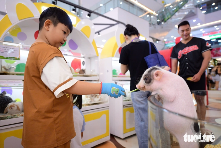 Đến Centre Mall Võ Văn Kiệt trải nghiệm "nông trại trong lòng phố" - Ảnh 2.
