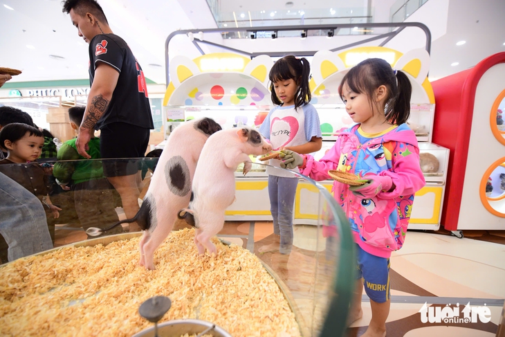 Đến Centre Mall Võ Văn Kiệt trải nghiệm "nông trại trong lòng phố" - Ảnh 6.