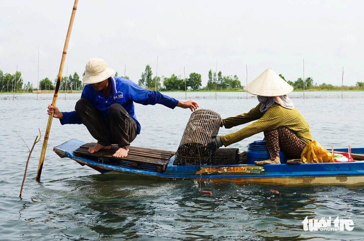 Dân đầu nguồn An Giang, Đồng Tháp ngày đêm đặt lợp cua đồng mùa nước nổi - Ảnh 1.