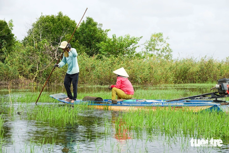 Dân đầu nguồn An Giang, Đồng Tháp ngày đêm đặt lợp cua đồng mùa nước nổi - Ảnh 3.