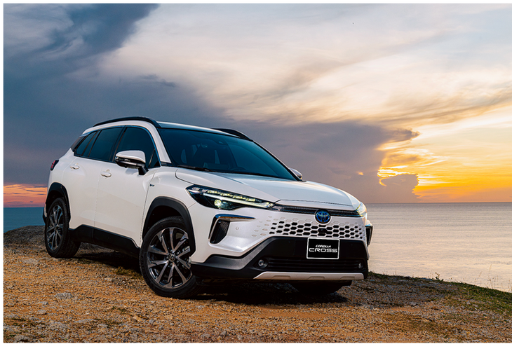Toyota xây dựng lộ trình phát triển bền vững tại Việt Nam - Ảnh 1.
