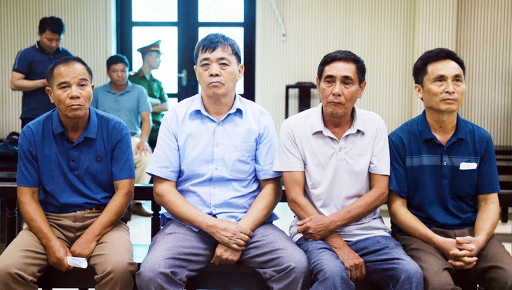Trưởng thôn không tư lợi vẫn bị phạt tù - Ảnh 2.