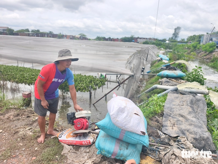 Bơm nước 'chống ngập' cho các vườn rau ở Vĩnh Lộc - Ảnh 3.