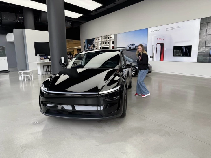 Hàng loạt phụ huynh phải phá cửa kính xe Tesla để cứu con - Ảnh 2.