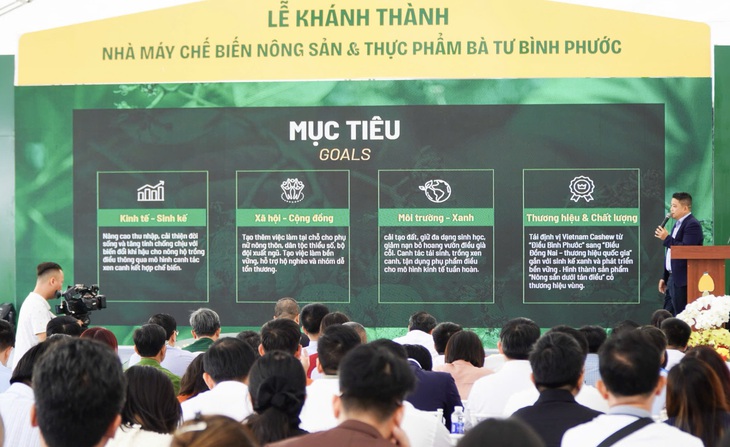 Phát triển bền vững từ 'Sinh kế dưới tán điều' - Ảnh 1.