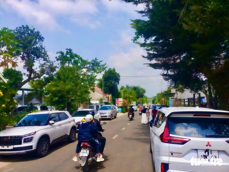Vườn đỏ Vân Hòa hút khách- Ảnh 2. Vườn đỏ Vân Hòa hút khách- Ảnh 2.