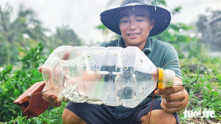 Bắt cá linh bằng bẫy tự chế từ chai nhựa ở An Giang- Ảnh 1. Người dân miền Tây bẫy cá linh bằng bình nhựa - Ảnh 1.