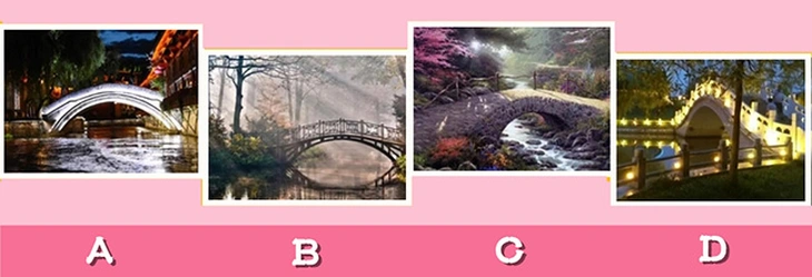 quiz - Ảnh 1.
