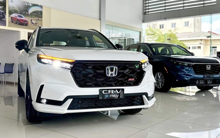 'Dù phổ thông hay sang, xe gia đình cần phải vô lo', chuyên gia chỉ ra những mẫu như vậy - Ảnh 7.