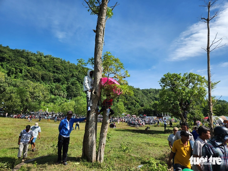 Hàng ngàn người đội nắng xem Hội đua bò Bảy Núi - Ảnh 7.