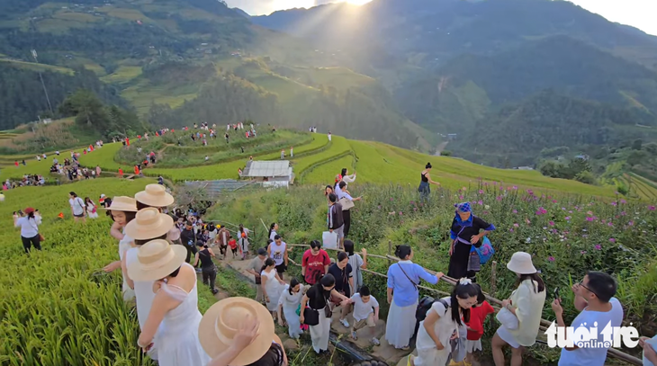 Du khách nườm nượp săn lúa chín Mù Cang Chải, 40 phút đi được 1km - Ảnh 2.