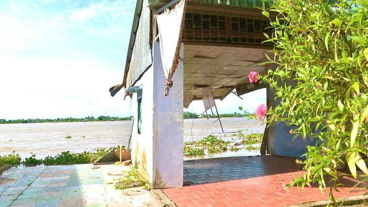Sạt lở bờ sông Tiền khiến 2 căn nhà sụp xuống sông - Ảnh 1.