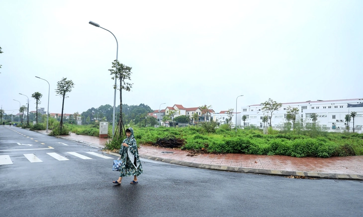 Đất đấu giá ngoại thành hơn trăm triệu/m² bỏ hoang, đánh thuế được không? - Ảnh 1.