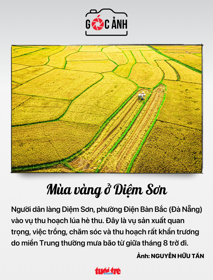 Tin tức sáng 21-9: Fed giảm lãi suất sẽ hạn chế hoạt động đầu cơ ngoại tệ - Ảnh 6.