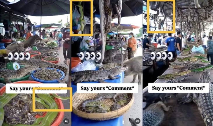 Video quay cảnh một khu chợ bán cá sấu, rắn ở Thái Lan/Trung Quốc là giả - Ảnh 3.