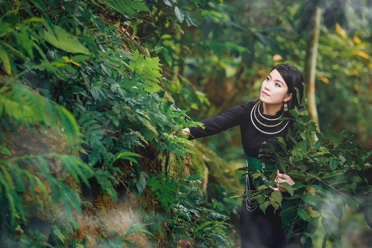 Cây dược liệu giúp người đồng bào vùng cao thoát nghèo - Ảnh 1.