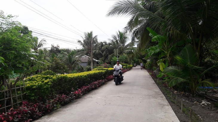 Mô hình ‘Vườn - nhà sáng, xanh, sạch, đẹp’ giúp nâng cao chất lượng cuộc sống - Ảnh 2.