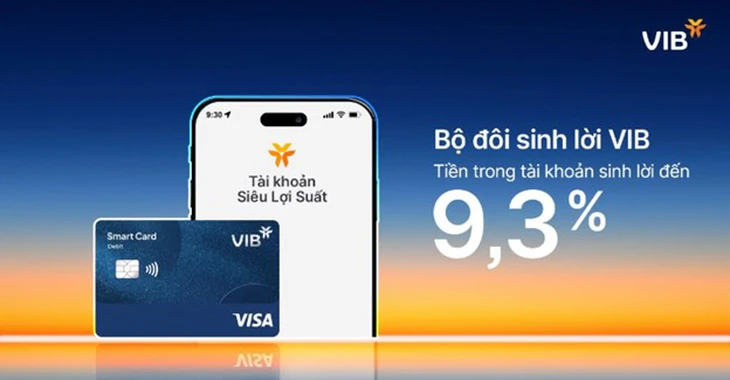Bộ đôi Sinh Lời VIB tối ưu dòng tiền đến 9,3% - Ảnh 1.