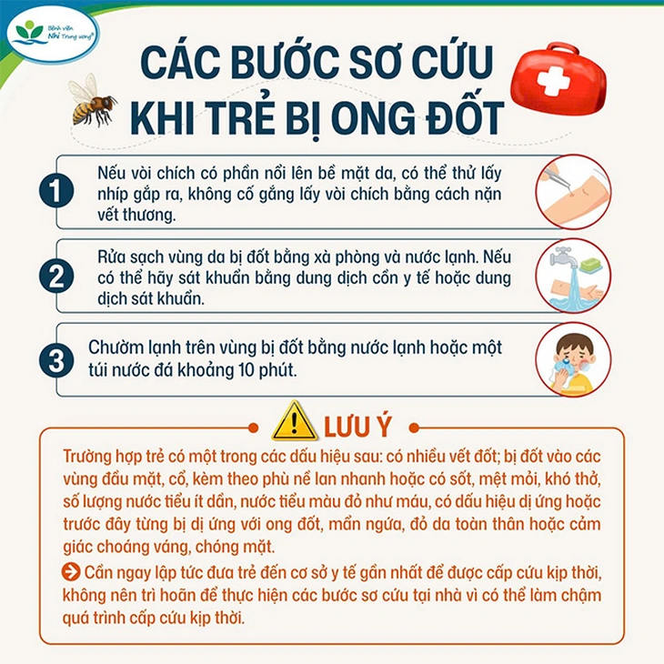 Theo bà lên nương, ba anh em bị ong đốt, một trẻ tử vong - Ảnh 2. Theo bà lên nương, trẻ 3 tuổi qua đời do bị ong đốt 80 vết - Ảnh 2.