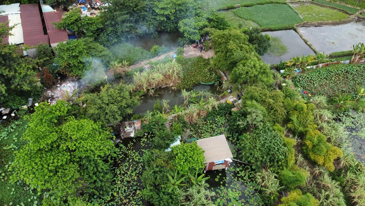 Hai anh em ruột đi chích cá bị điện giật chết - Ảnh 1.