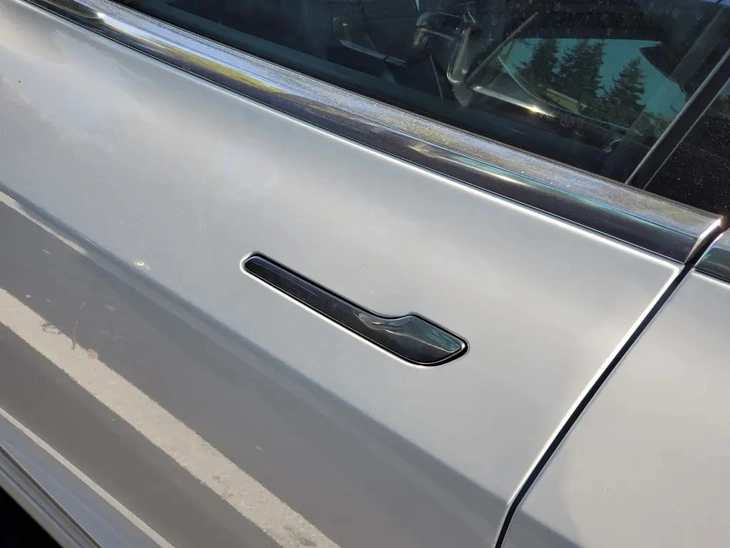 Bi kịch xe Tesla gặp tai nạn: 1 người lớn, 2 trẻ nhỏ thiệt mạng, nghi do tay nắm cửa không hoạt động - Ảnh 4.