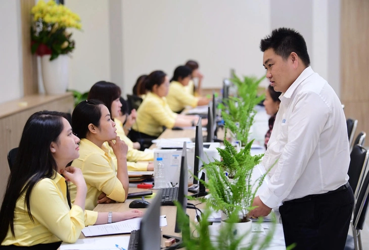 Cả nước rà soát cán bộ, công chức, viên chức, đề xuất biên chế đến 2031 - Ảnh 1.