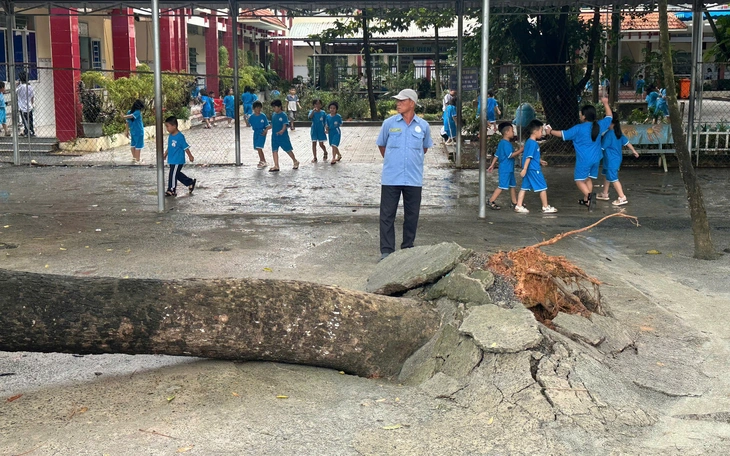 Chủ tịch TP.HCM Nguyễn Văn Được yêu cầu các trường công lập tổng rà soát cơ sở vật chất - Ảnh 2.
