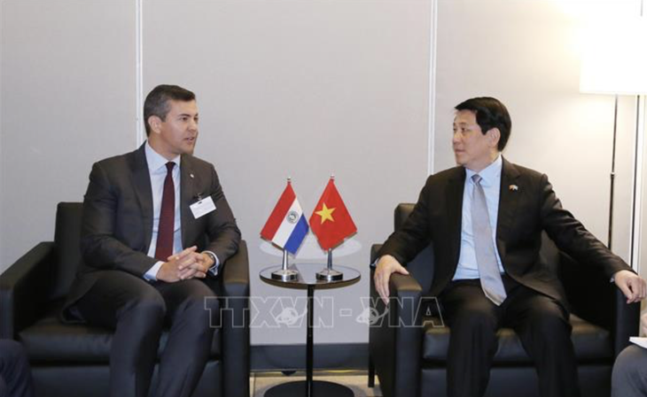 Chủ tịch nước Lương Cường gặp lãnh đạo Áo, Paraguay và Tajikistan tại Mỹ - Ảnh 2.