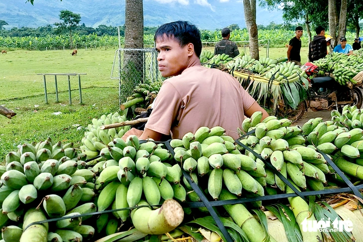 Sau thảm kịch tang thương, nông dân đồng loạt rời chợ chuối giữa lòng quốc lộ, tập kết nơi mới - Ảnh 3.
