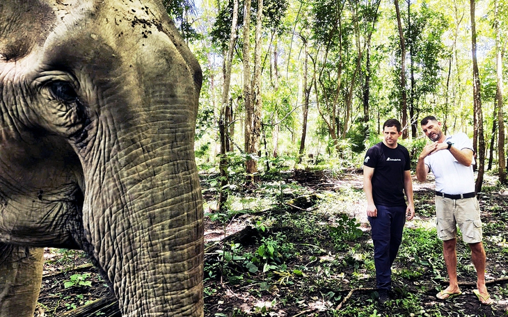 'Dấu chân voi hạnh phúc' và hành trình ngừng cưỡi voi - Ảnh 8.