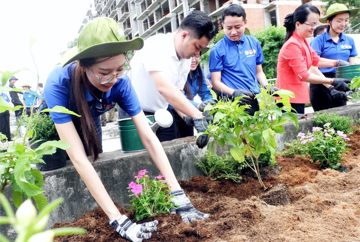 Hành động nhỏ, thay đổi lớn cho môi trường - Ảnh 1. Hành động nhỏ, thay đổi lớn cho môi trường - Ảnh 1.