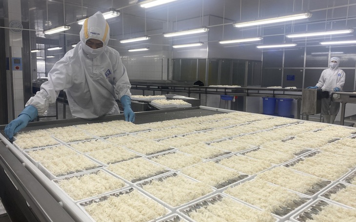 Nhiều tỉnh miền Tây thả tôm, cua giống ra cửa biển - Ảnh 2.