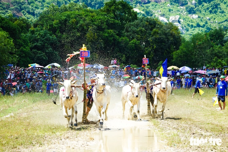 ‘Cú hích’ kinh tế du lịch qua những lễ hội mang đậm bản sắc văn hóa con người ở An Giang - Ảnh 1.