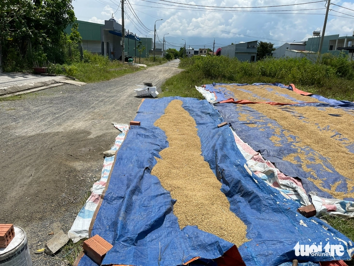 Hơn 10 năm chờ đường trải nhựa ở khu tái định cư Đà Nẵng  - Ảnh 4.