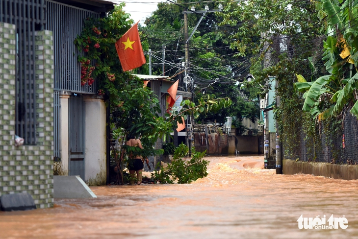 Đồng Nai: Hàng trăm hộ dân cạnh dự án cao tốc Biên Hòa - Vũng Tàu lại ngập lụt nặng - Ảnh 3.