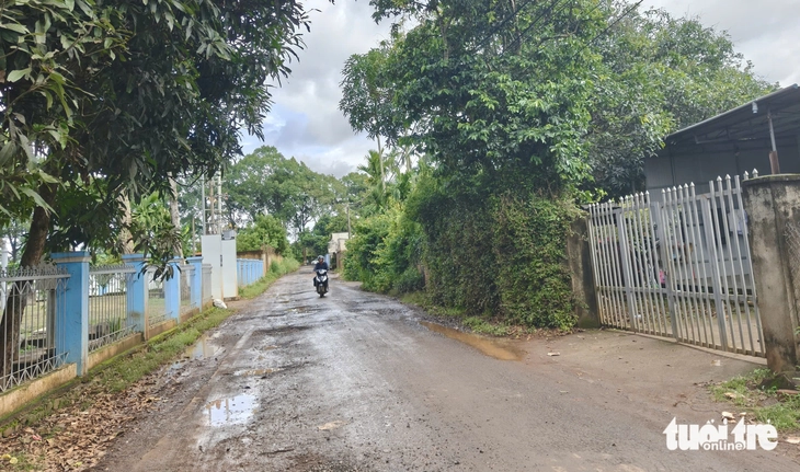 Đắk Lắk cân nhắc đề nghị thu hồi 'trắng' đất sân bay Buôn Ma Thuột cấp sai từ 40 năm trước - Ảnh 1.